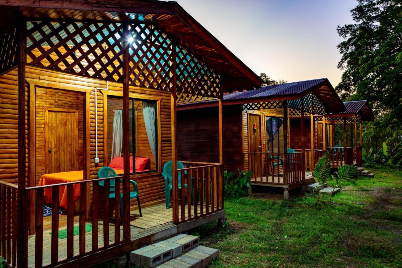 Oso De Osa Hotell Sierpe Exteriör bild