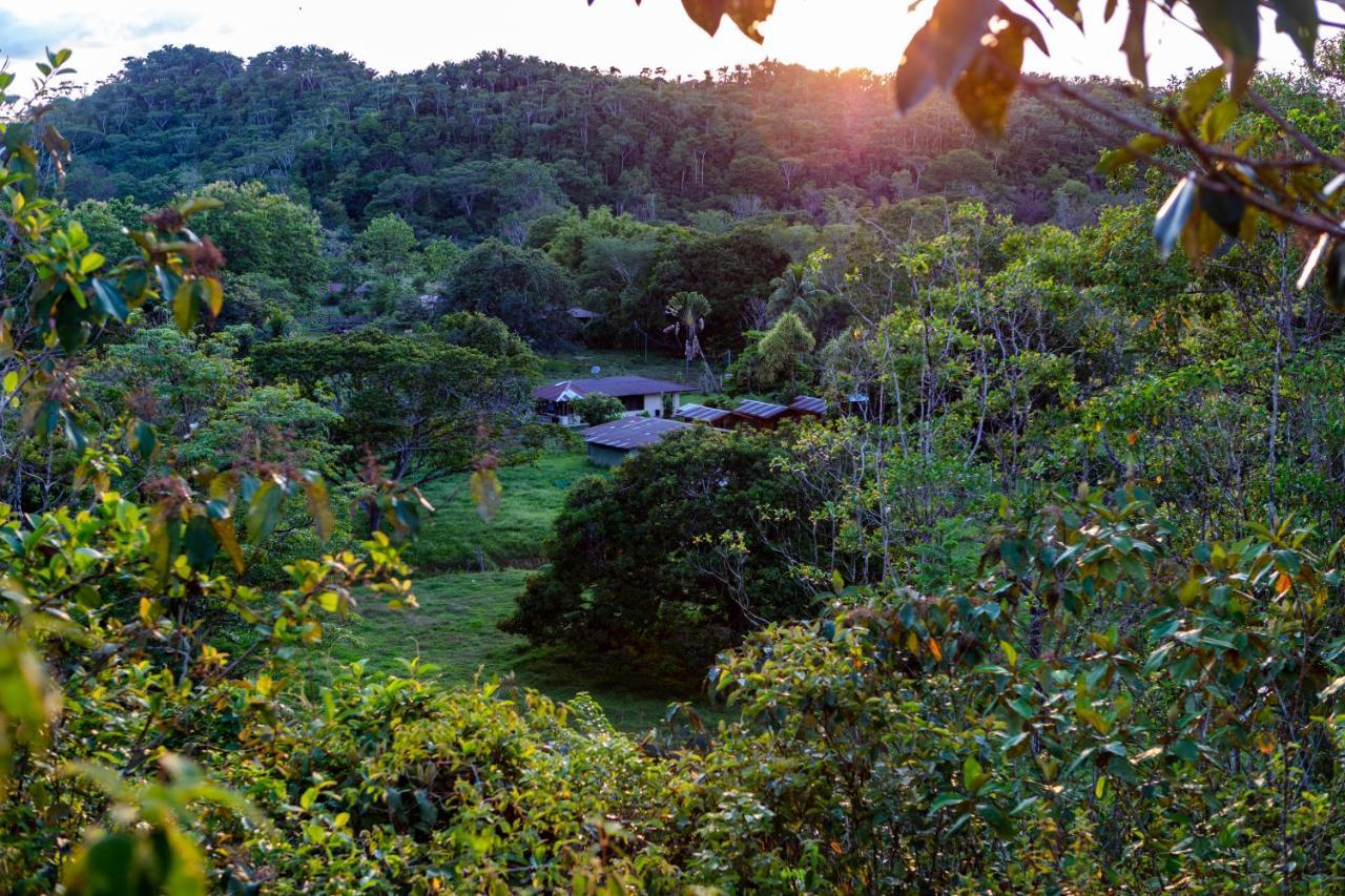 Oso De Osa Hotell Sierpe Exteriör bild